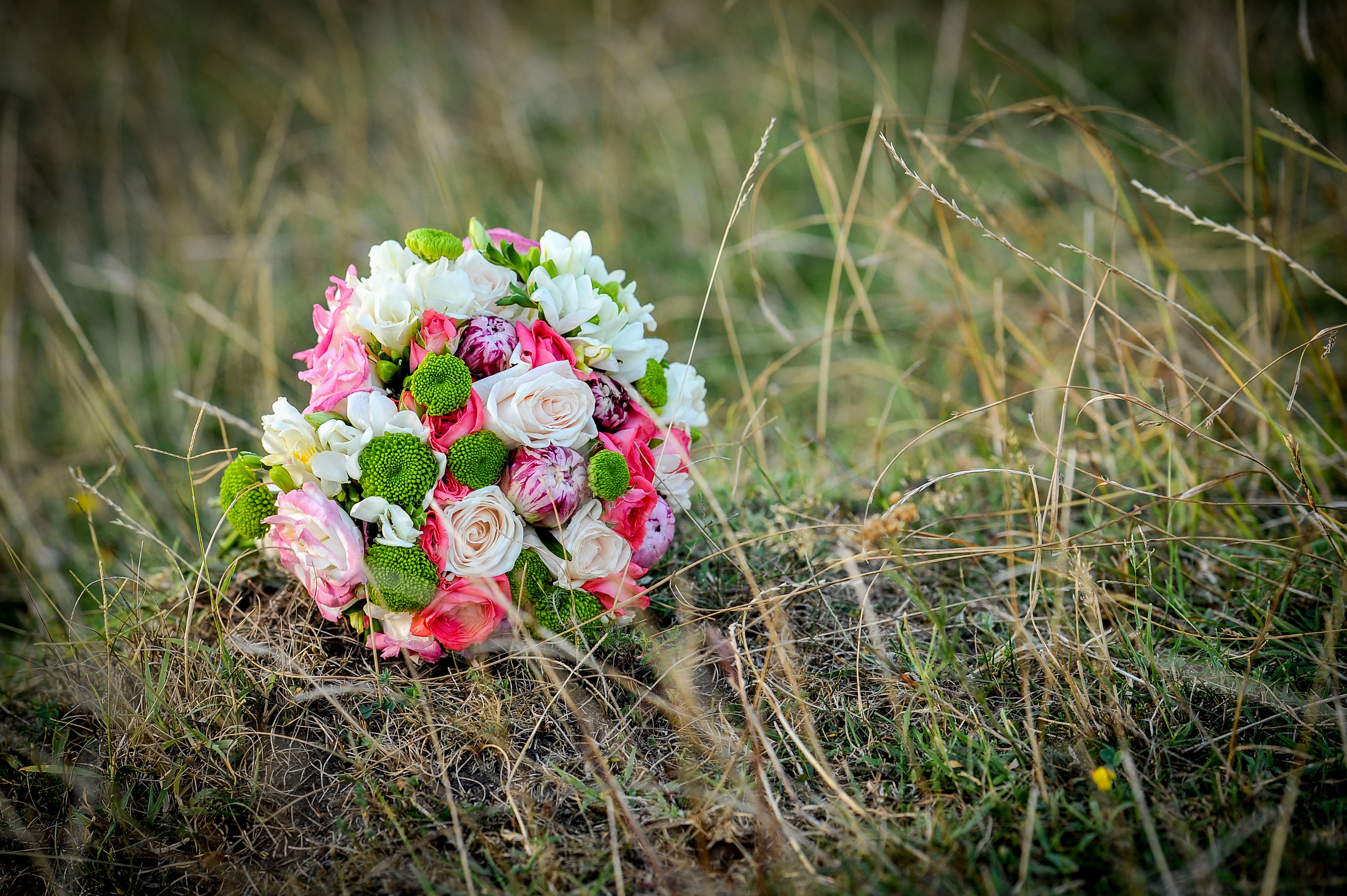 videograf bucurești
